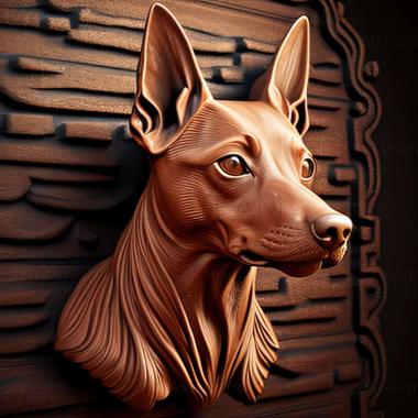 3D model Dwarf Pinscher dog (STL)